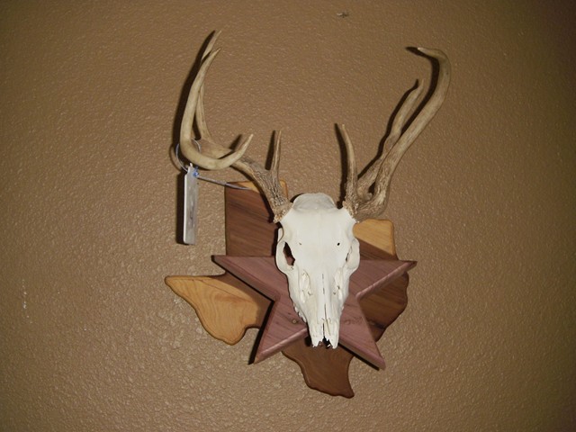 star of texas cedar